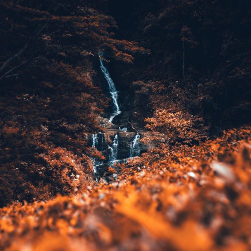 تور یاکوهوما